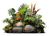 Tropical plants bush and Decorative with stones garden isolated on transparent background