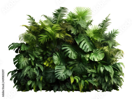 green jungle bush isolated on transparent background © kharom