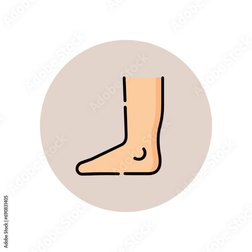 illustration of medical set icons such as body anatomy