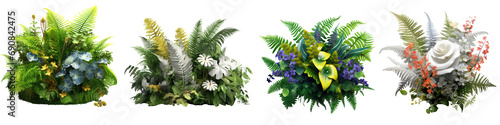 ferns and flowers isolated on transparent background