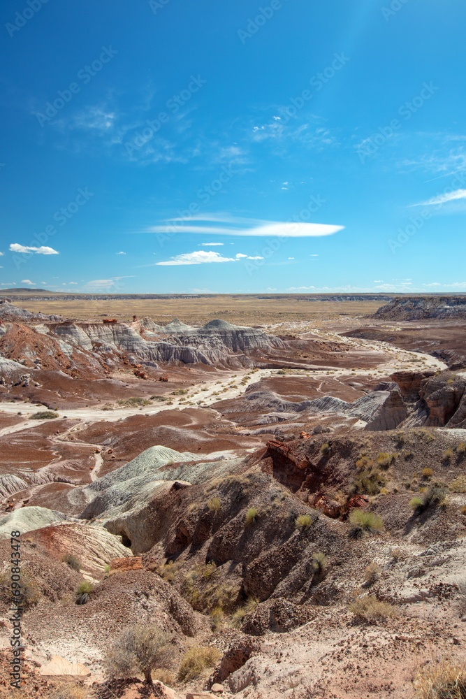 Canyon dry wash in the Petrified Forest National Park in Arizona United States