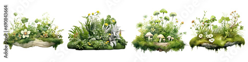 Shabby chic watercolor green rock flower arrangement isolated on transparent background #690843664