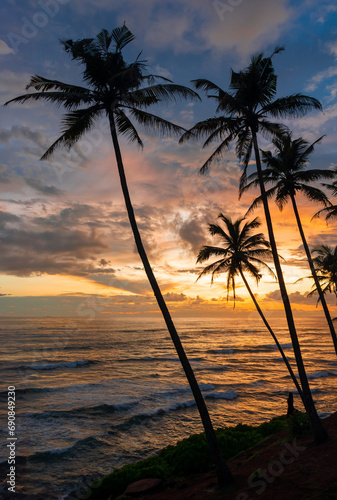 Fototapeta Naklejka Na Ścianę i Meble -  Beautiful sunset on the Indian Ocean coast on the island of Sri Lanka, Mirissa.