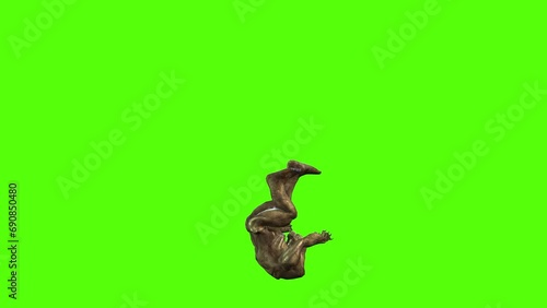 Monster Roll Back Green Screen Animation 3D Rendering.