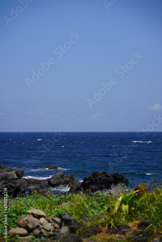 Fresh grasses and black rocks, After that, there is a blue and wide sea.