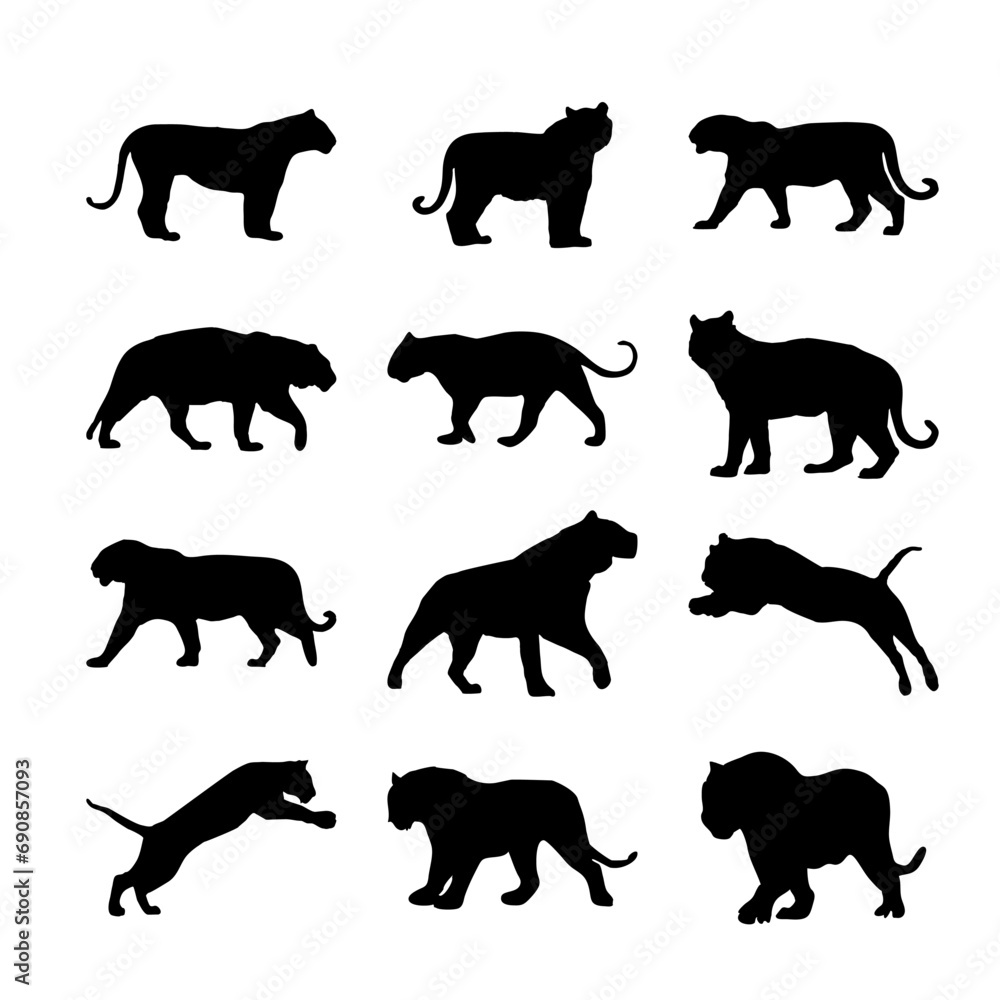 silhouette of tiger with any poses