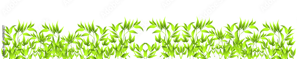Obraz premium green bamboo leaves footer isolated on white