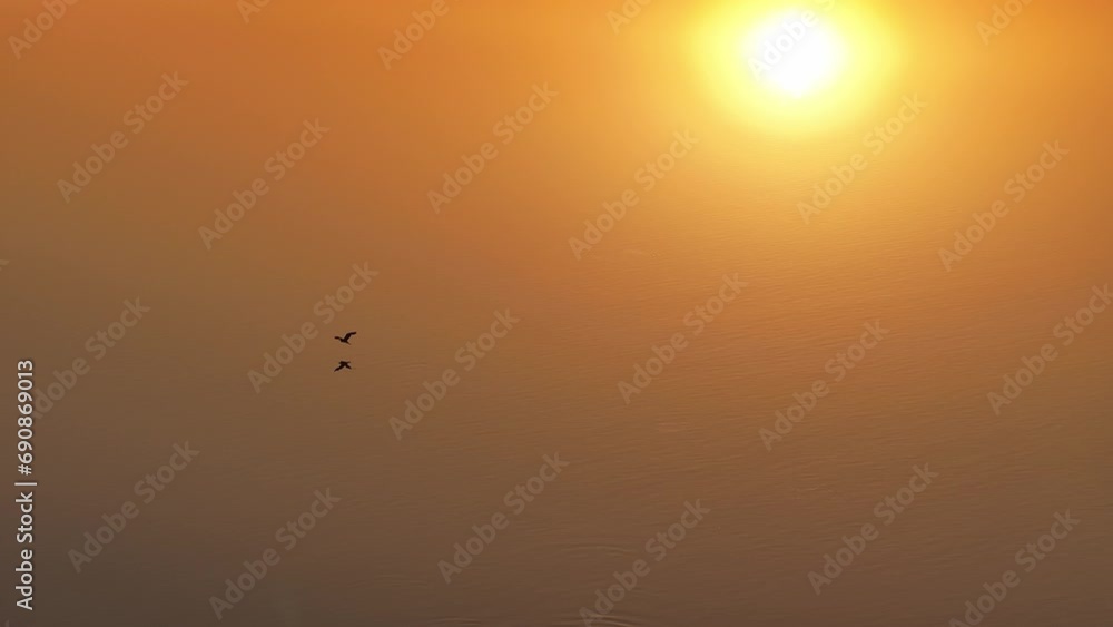 Scenery of Poyang Lake in Jiangxi, China, a paradise for migratory birds Scenery of Poyang Lake in Jiangxi, China, a paradise for migratory birds