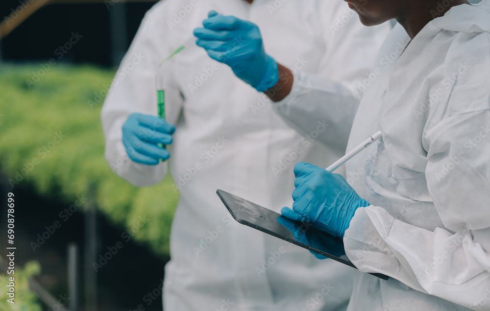 Man and woman use a test tube and a pipette while working in a greenhouse. Man and woman use a test tube and a pipette while working in a greenhouse.