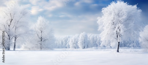 Snowy blizzard transforms landscape with icy trees. © 2rogan
