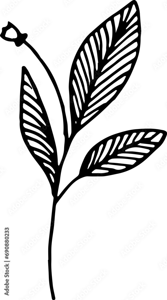 Hand drawn elements illustration Hand drawn elements illustration
