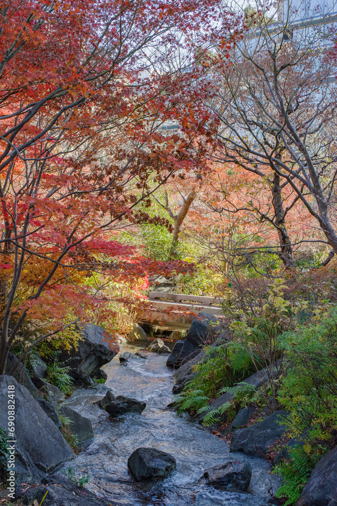 東京赤坂にある東京ミッドタウンの紅葉 東京赤坂にある東京ミッドタウンの紅葉