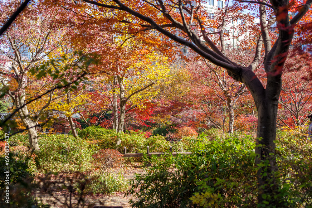 東京赤坂にある東京ミッドタウンの紅葉