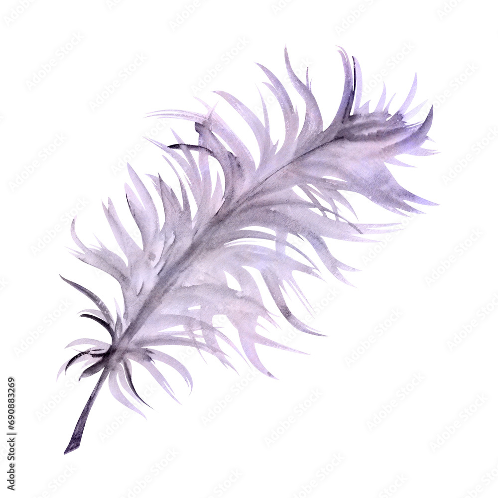 Obraz premium Hand drawn watercolor Mardi Gras carnival symbols. Bird feather quill plumage, violet purple lilac. Single object isolated on white background. Design party invitation, print, shop, wedding, costume