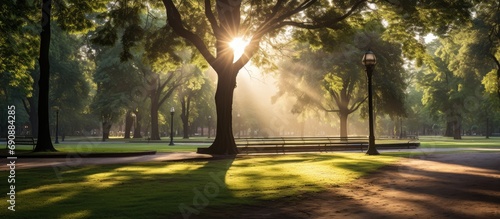 Spectacular sunlight streaks in Lodz park.