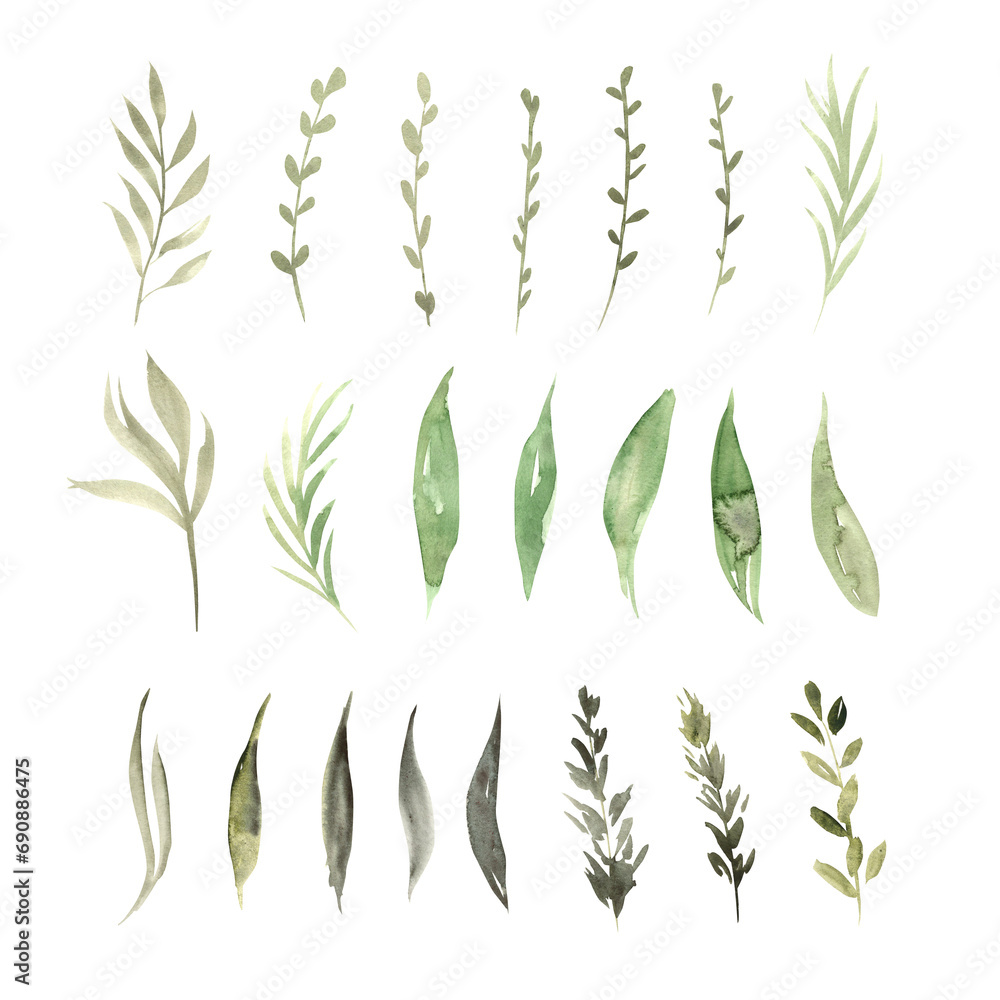 Watercolor botanical set of green plants and branches. Hand drawn illustration of botanical template for greeting cards or wedding invitations, mother's day, birthday, march 8, posters, logos. Watercolor botanical set of green plants and branches. Hand drawn illustration of botanical template for greeting cards or wedding invitations, mother's day, birthday, march 8, posters, logos.