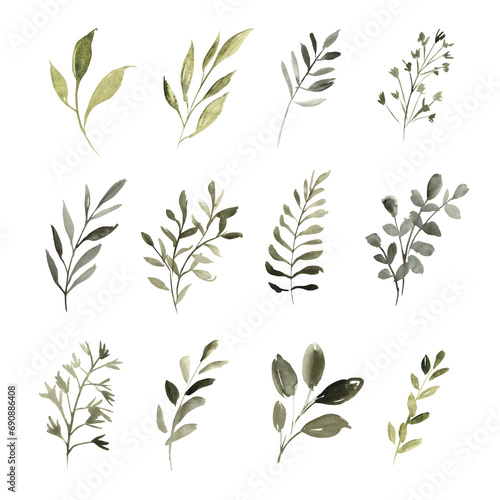 Watercolor botanical set of green plants and branches. Hand drawn illustration of botanical template for greeting cards or wedding invitations, mother's day, birthday, march 8, posters, logos