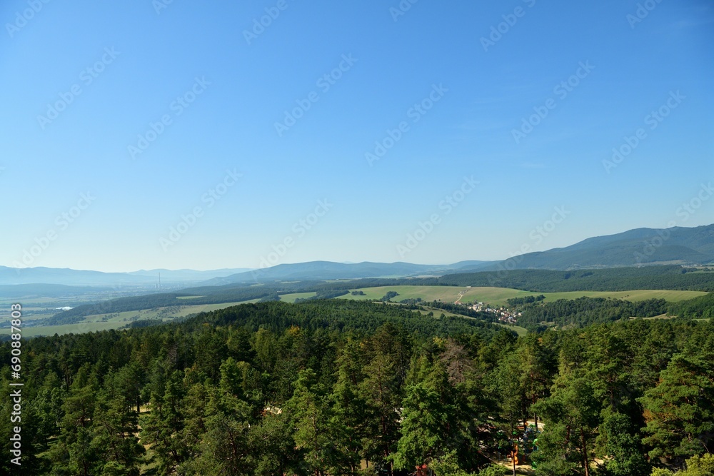 Panorama view of the landscape and treetops from a height