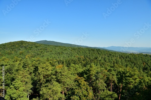Panorama view of the landscape and treetops from a height