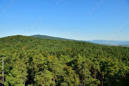 Obraz na płótnie Panorama view of the landscape and treetops from a height w salonie