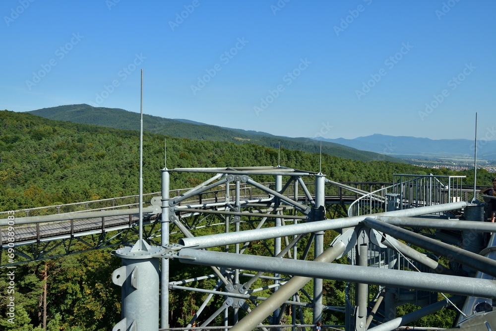 View of the landscape from the hiking trail above the trees