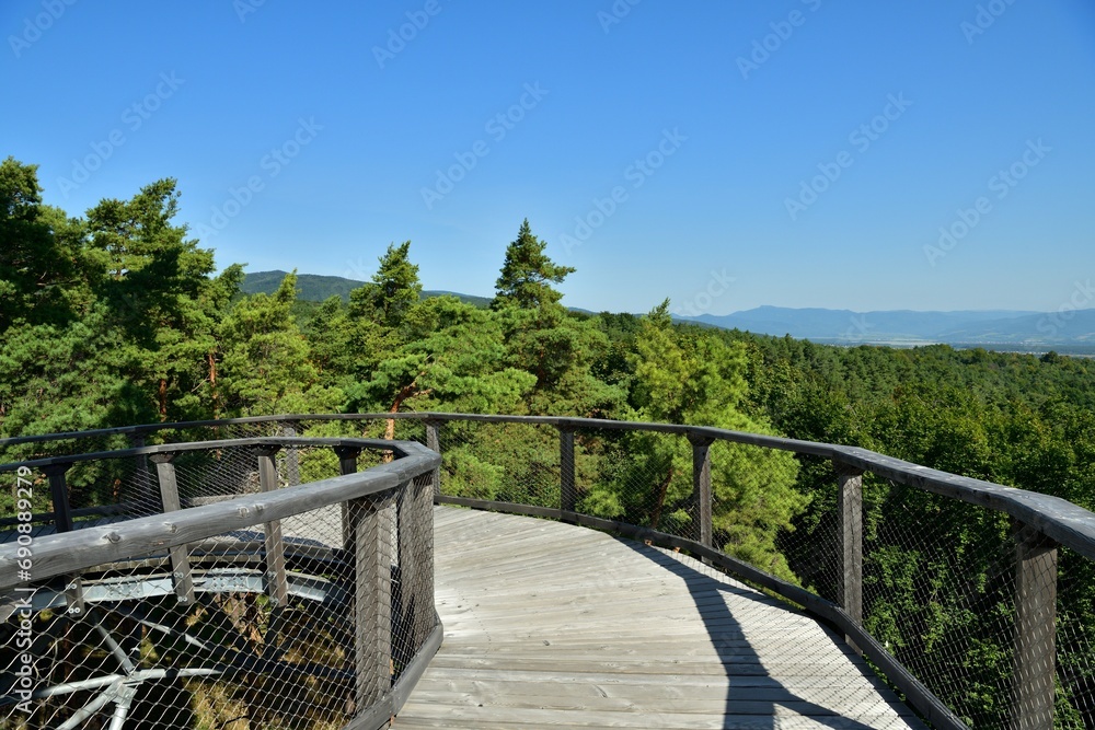 View of the landscape from the hiking trail above the trees