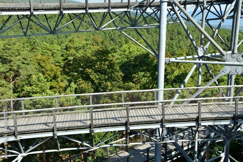 Obraz na płótnie Tourist attraction iron walkway high in the treetops w salonie