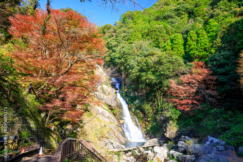 秋の見帰りの滝　佐賀県唐津市　Autumn Mikaeri Waterfall. Saga Pref, Karatsu City. photo