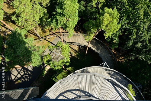 Iron construction of a walkway for tourists above the treetops