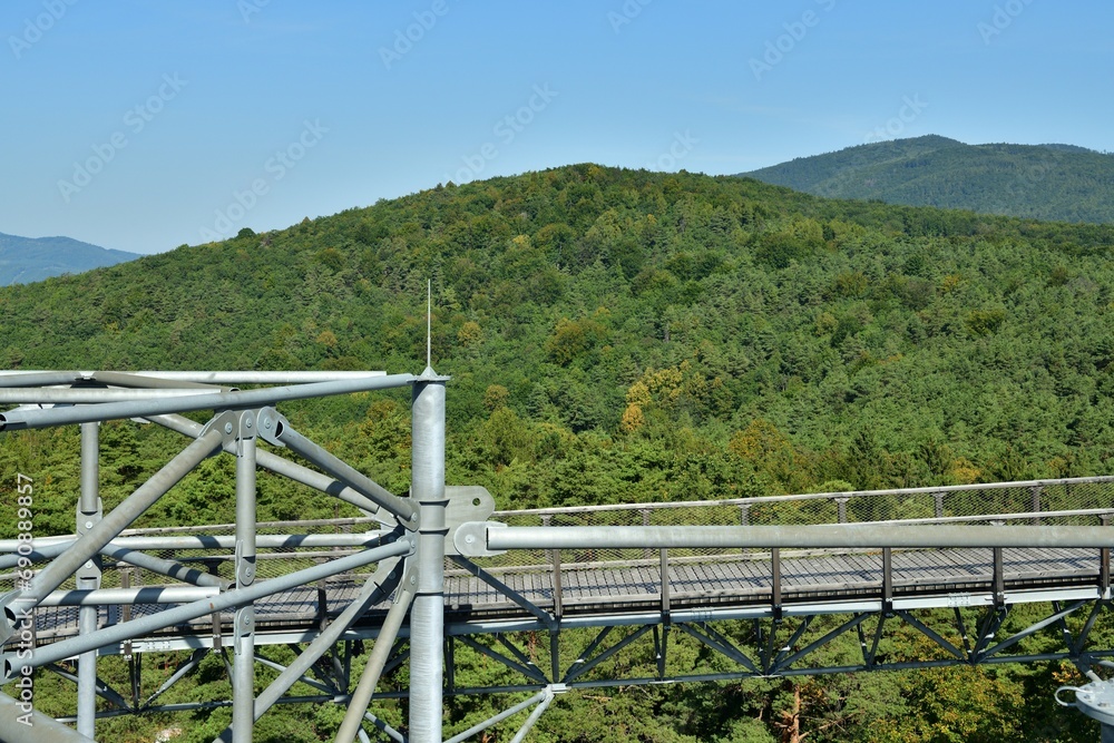 Tourist attraction iron walkway high in the treetops