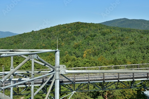 Obraz na płótnie Tourist attraction iron walkway high in the treetops w salonie
