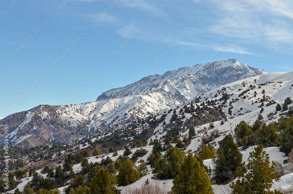 slopes of Chimgan and Kumbel mountains in early spring (Amirsoy, Tashkent region, Uzbekistan)	