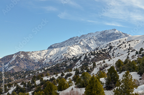 slopes of Chimgan and Kumbel mountains in early spring (Amirsoy, Tashkent region, Uzbekistan) 