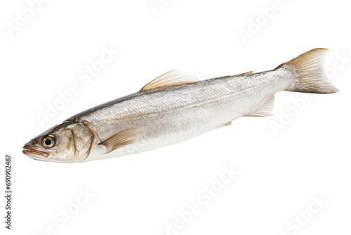 Whiting