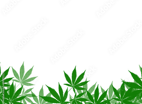 Marijuana frame
