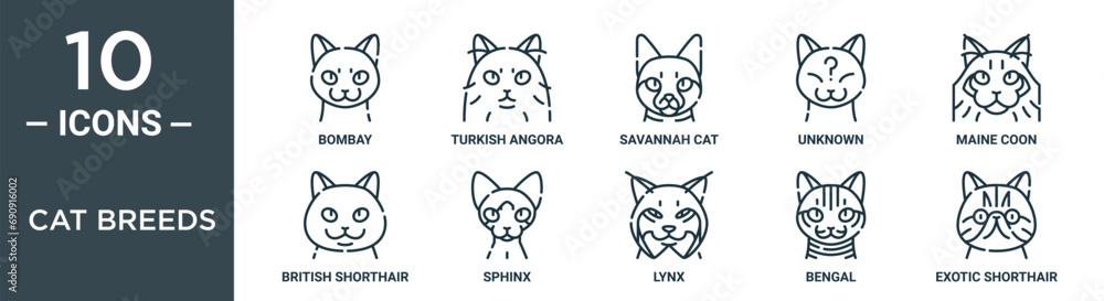 cat breeds outline icon set includes thin line bombay, turkish angora ...