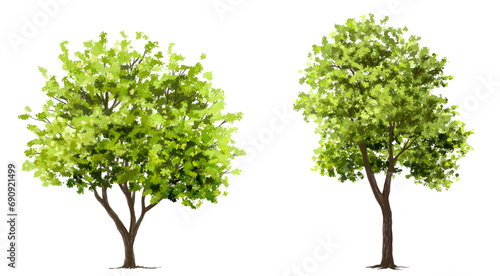 Vector watercolor green tree or forest side view isolated on white background for landscape and architecture drawing,elements for environment or garden,botanical element for exterior section in spring