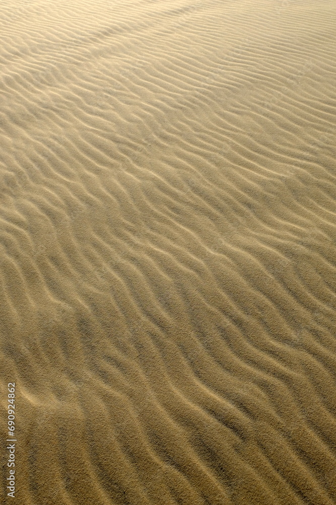 Sand ripples in the sand Sand ripples in the sand