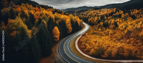 aerial view of autumn forest with long curly road