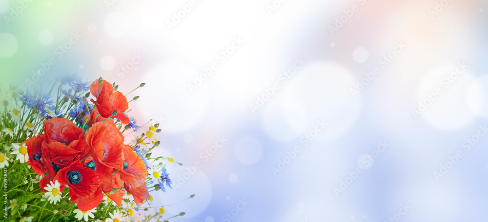 Fototapeta premium poppies, daisies ,cornflowers in bouquet