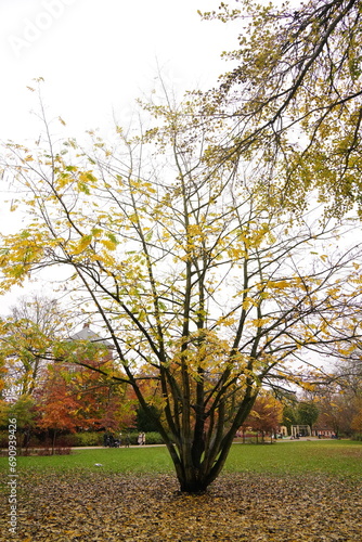 Photography Vibrant nature in Denmark