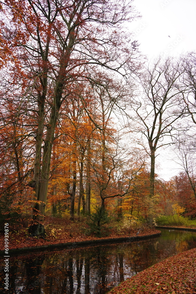 Vibrant nature in Denmark Vibrant nature in Denmark