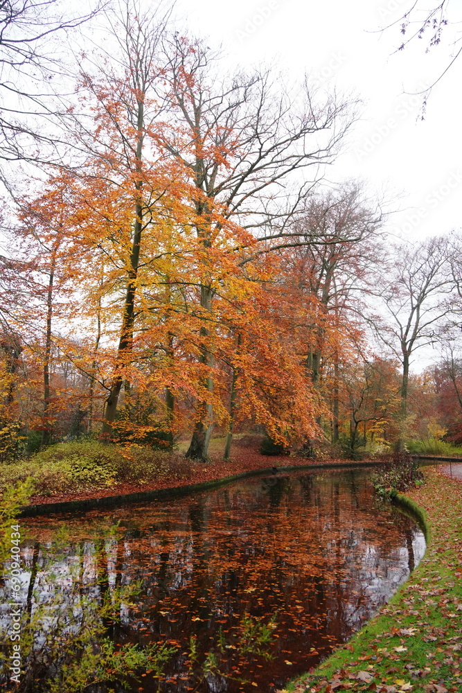 Vibrant nature in Denmark Vibrant nature in Denmark