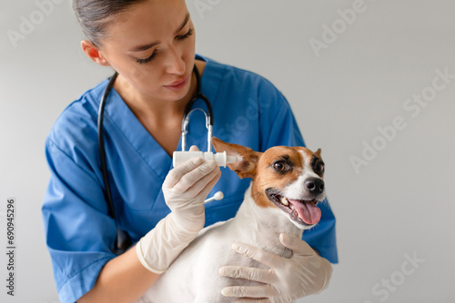 Vet administering ear drops to a dog