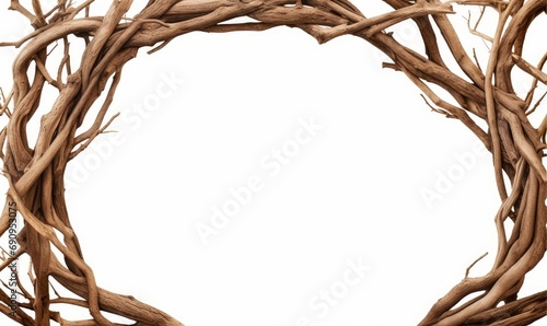 tree roots frame isolated on white background cutout, Generative AI photo