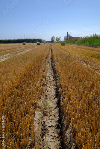 dry and cracked land drought climate problem, affects agriculture. Harvest problems