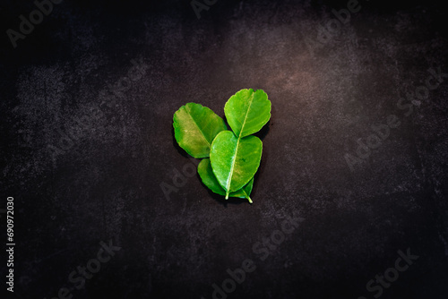 kaffir lime leaves on a dark background photo