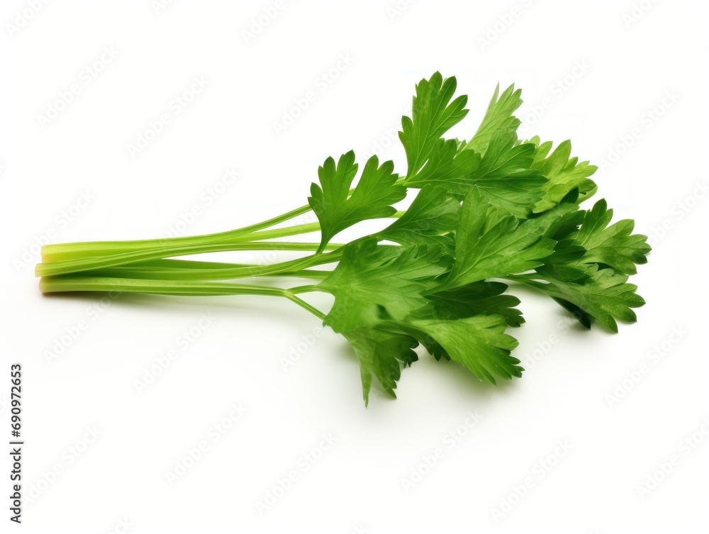 Parsley isolated on white background Parsley isolated on white background