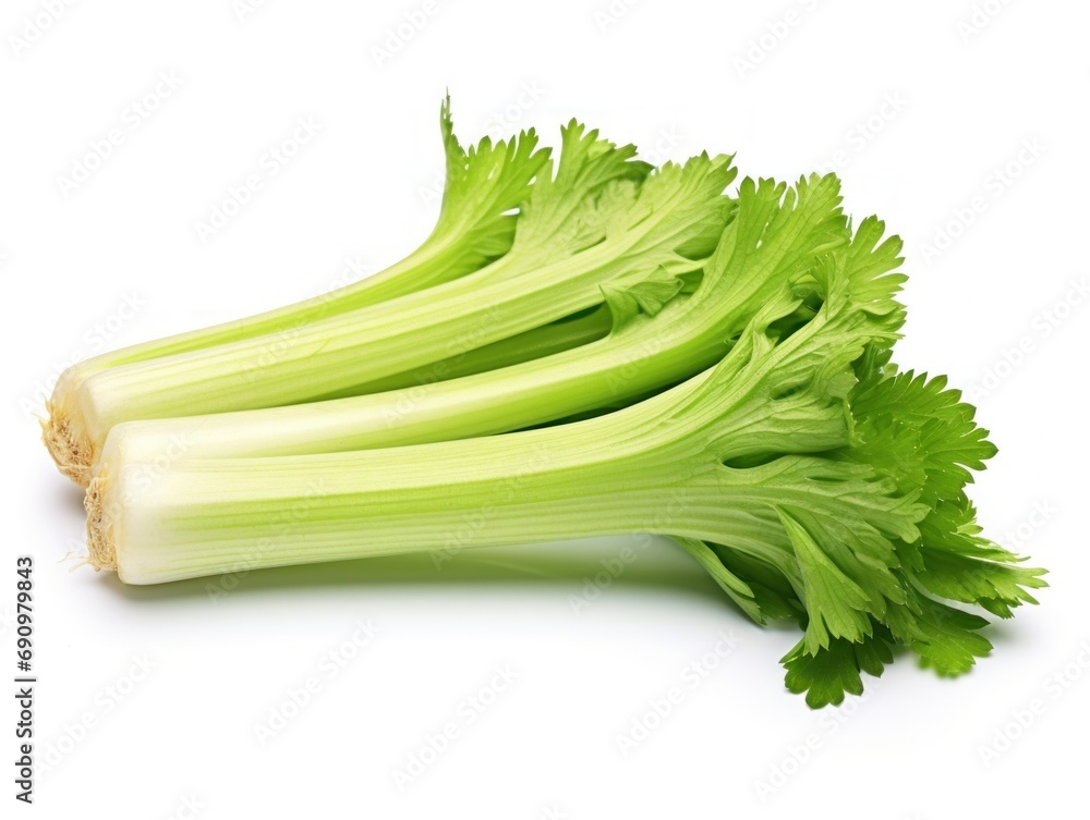 Stem celery isolated on white background