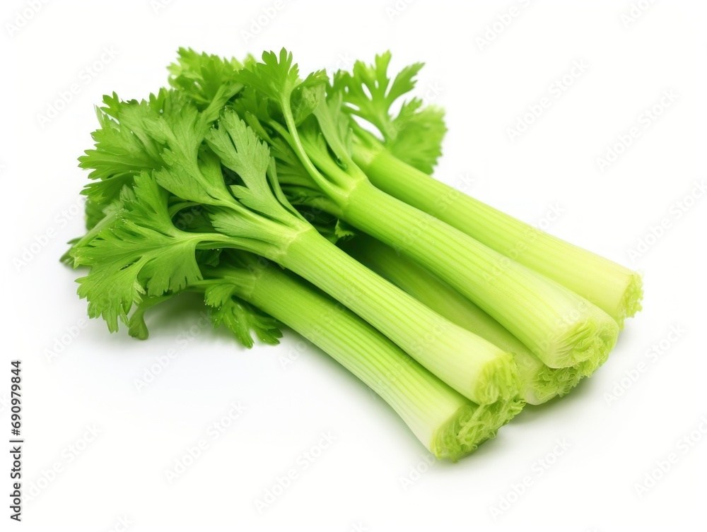 Stem celery isolated on white background Stem celery isolated on white background
